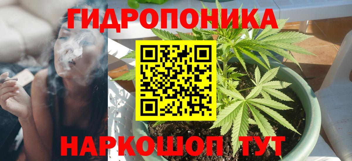 Марихуана индика  Бошки марихуана планчик  Чернушка  Вход с VPN 